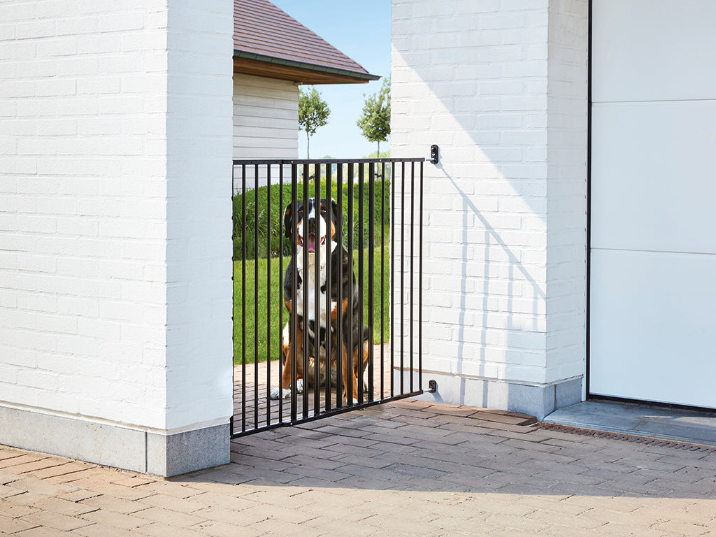 Set Dog Barrier Outdoor