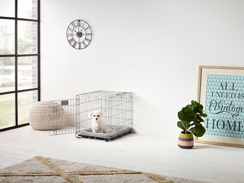 Tray Dog Residence 61 cm