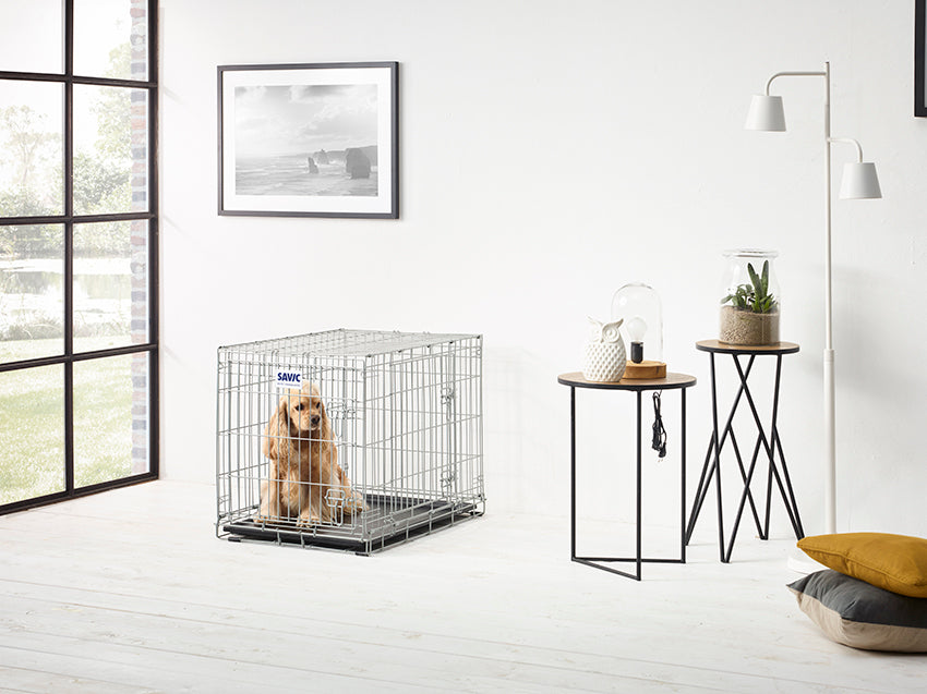 Tray Dog Residence 76 cm