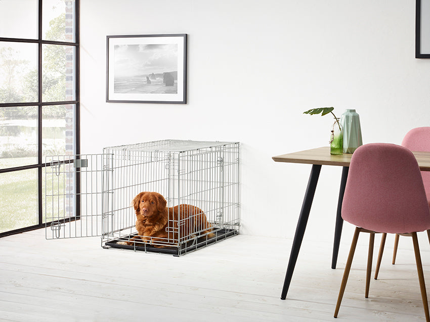 Tray Dog Residence 91 cm