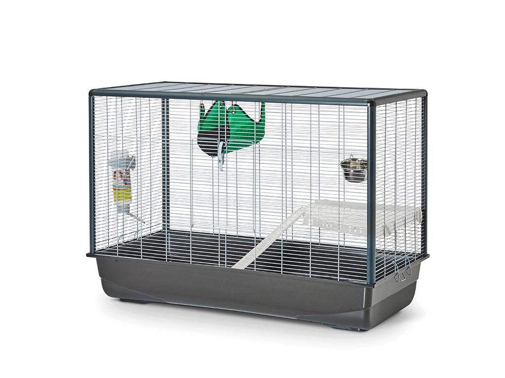 Ladder for Freddy, Zeno & Hamster Plaza