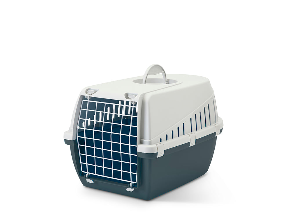 Set Trotter 2 light grey