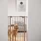 Set Dog Barrier Door 75/107/107 cm + small door